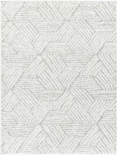 surya Rugs All Cloudy Shag CDG-2320