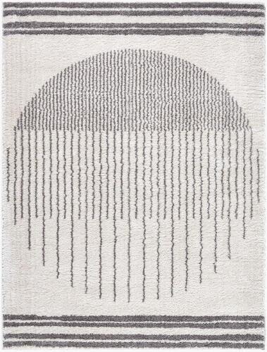 surya Rugs All Fossay Shag FSG-2308