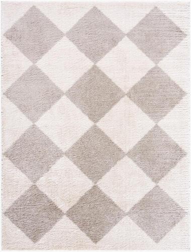 surya Rugs All Fossay Shag FSG-2327