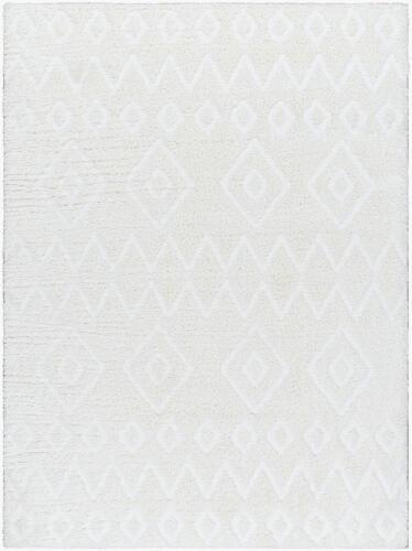 surya Rugs All Nomadic NMC-2306