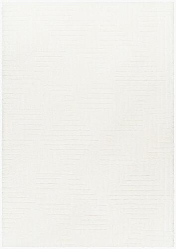 surya Rugs All Nomadic NMC-2314