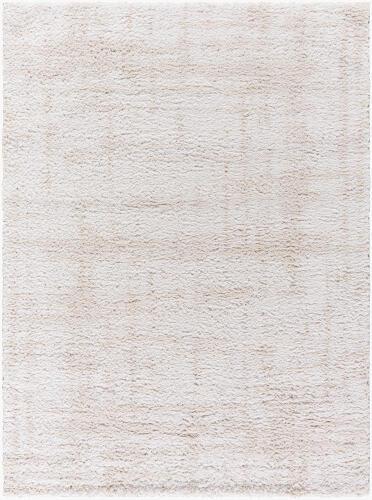 surya Rugs All Sacramento Shag SCS-2300