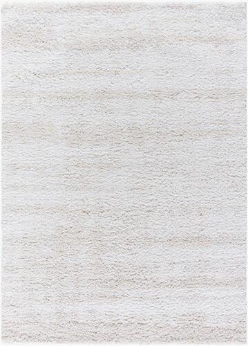 surya Rugs All Sacramento Shag SCS-2301