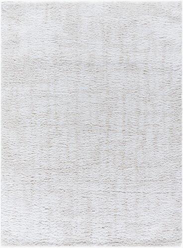 surya Rugs All Sacramento Shag SCS-2302
