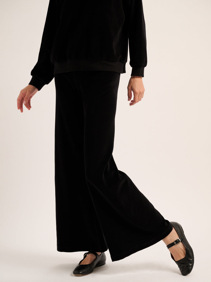 Suzie Kondi Zephyra Pants In Velour