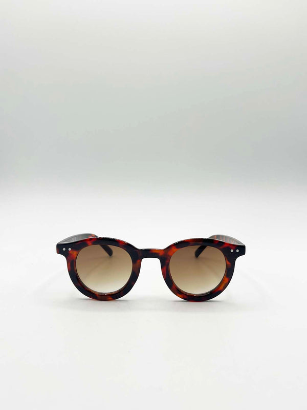 svnx Bold Rounded Sunglasses in Tortoiseshell