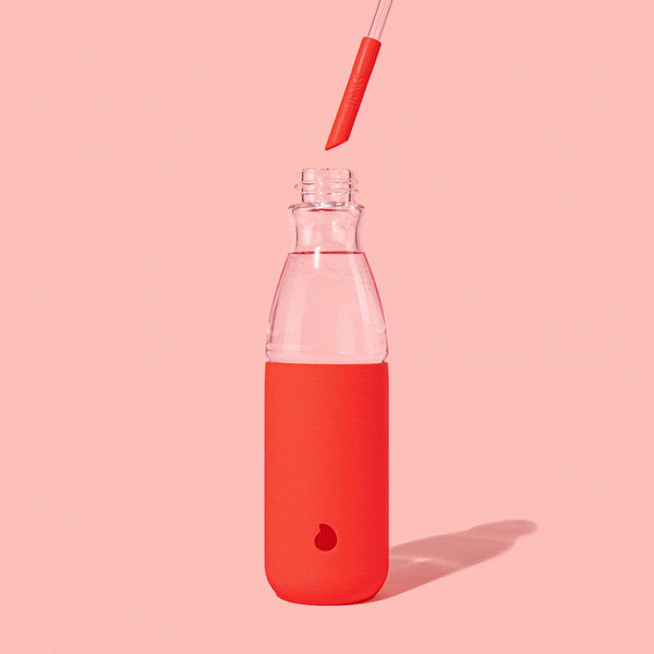 Swell Glass Straw Set