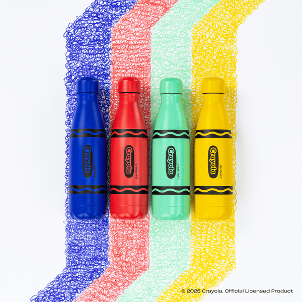 Swell Original Bottle | 17oz