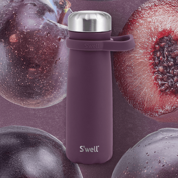 Swell Traveler | 24oz