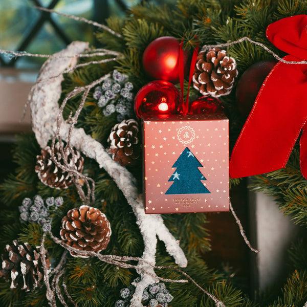 Swole Panda Star Christmas Sock Box - 1 Pair Of Bamboo Socks (His)