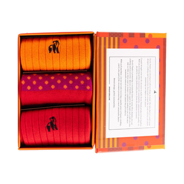 Swole Panda Stripe And Spot Sock Box - 3 Pairs Of Bamboo Socks (His)
