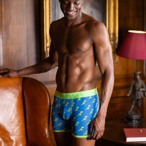 Swole Panda Bamboo Boxers - T-Rex
