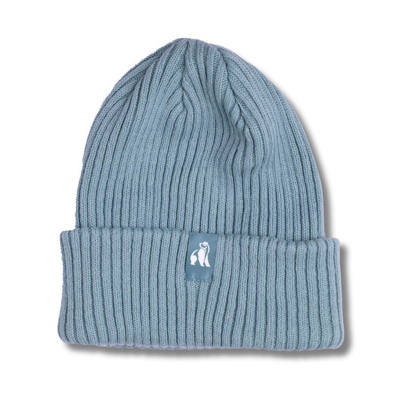 swole panda Organic Cotton Beanie - Turquoise