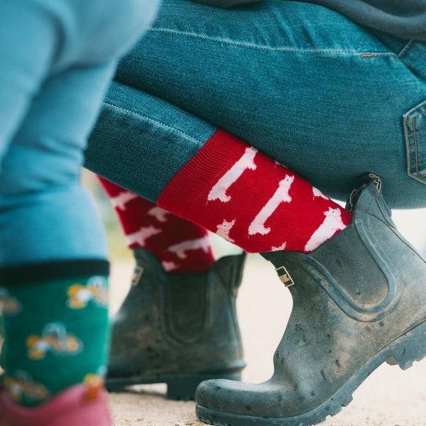 Swole Panda Pig Bamboo Socks