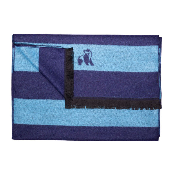 swole panda Sky Blue Stripe Bamboo Scarf