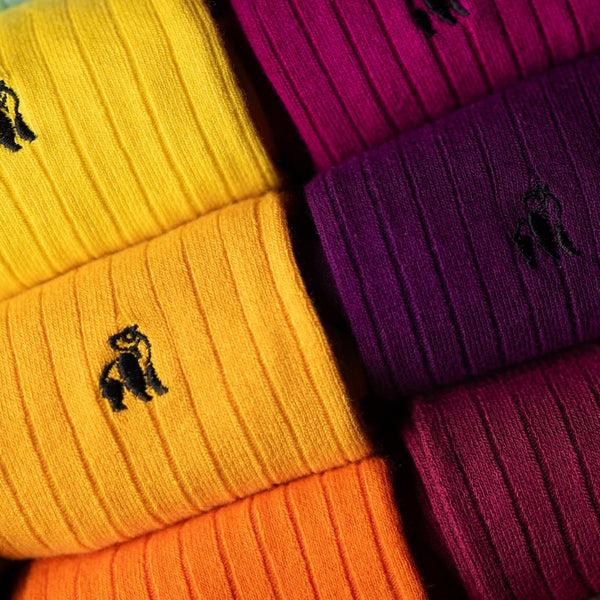 Swole Panda Ultimate Style Sock Box - 15 Pairs Of Bamboo Socks