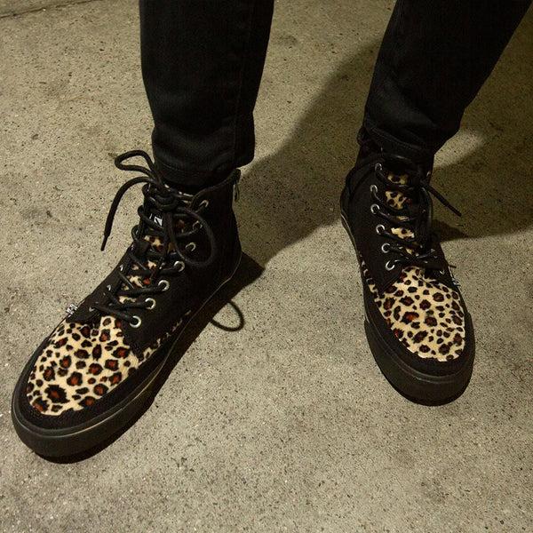 T.u.k Creeper Sneaker Hi Top Black/Leopard Canvas