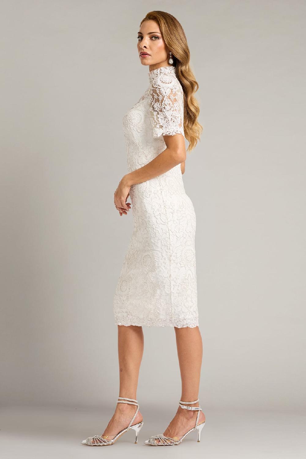 Tadashi Shoji Marise Sequin Embroidered Illusion Dress