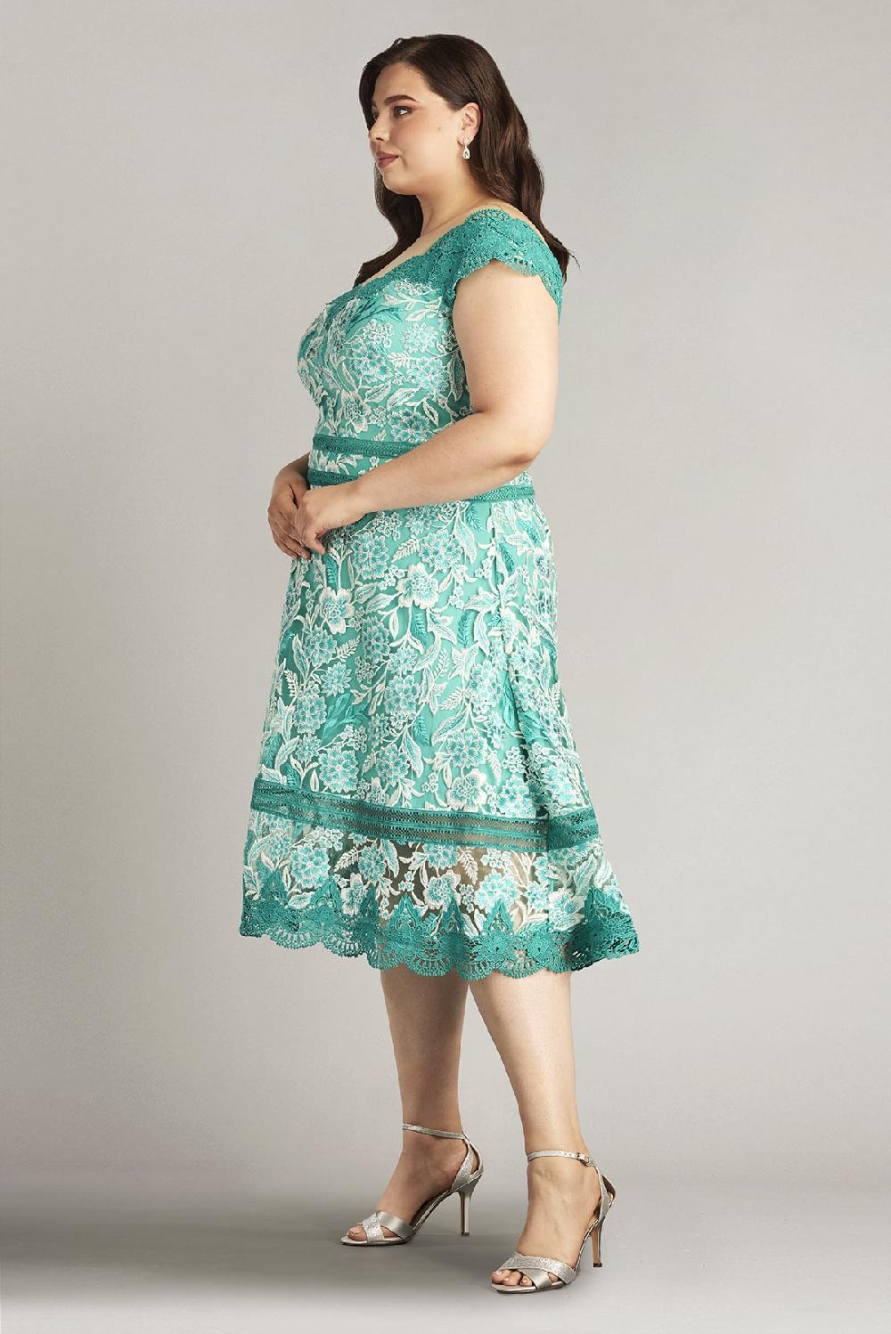 Tadashi Shoji Nance Double Banded Scalloped Lace Dress - PLUS SIZE