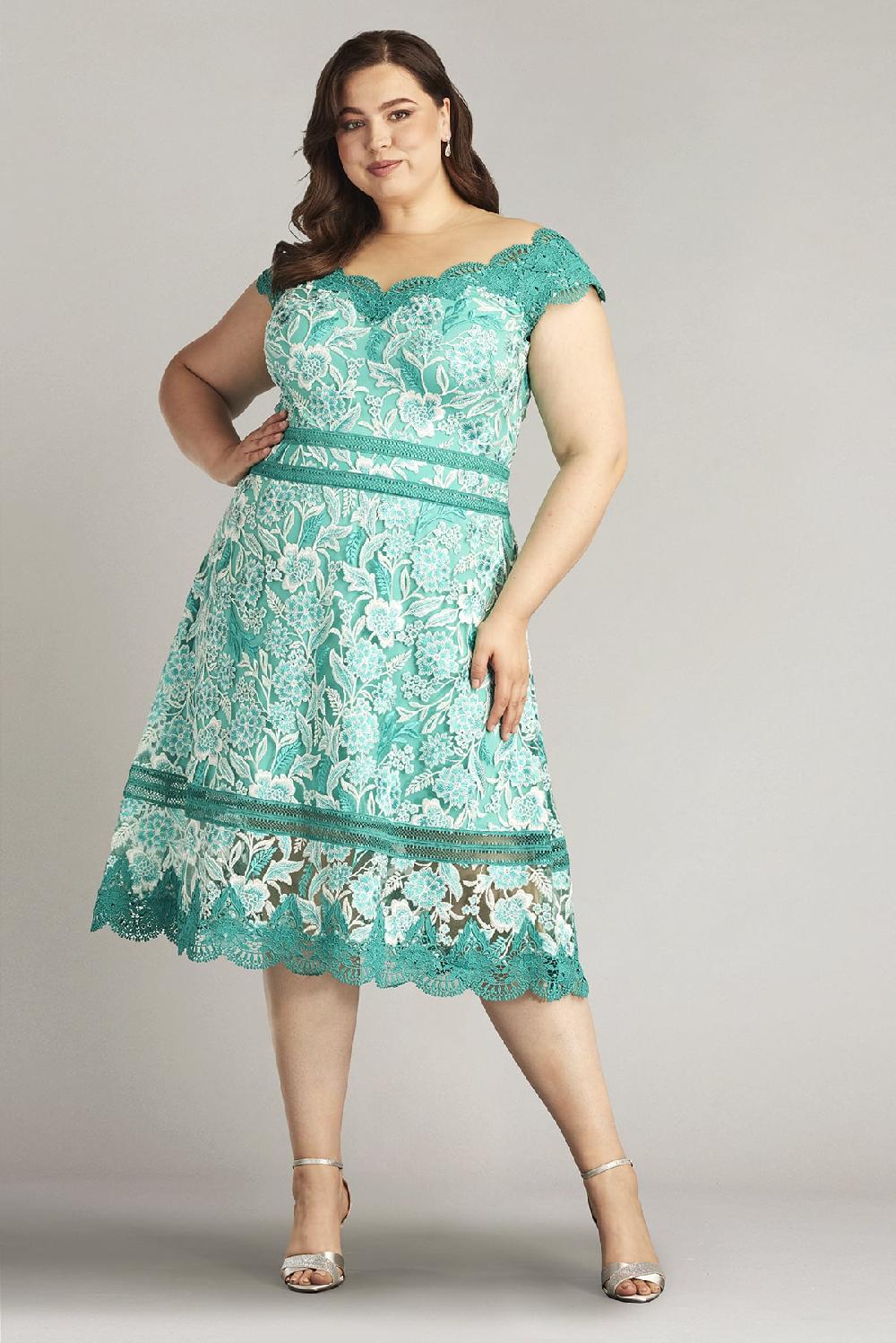tadashi shoji Nance Double Banded Scalloped Lace Dress - PLUS SIZE