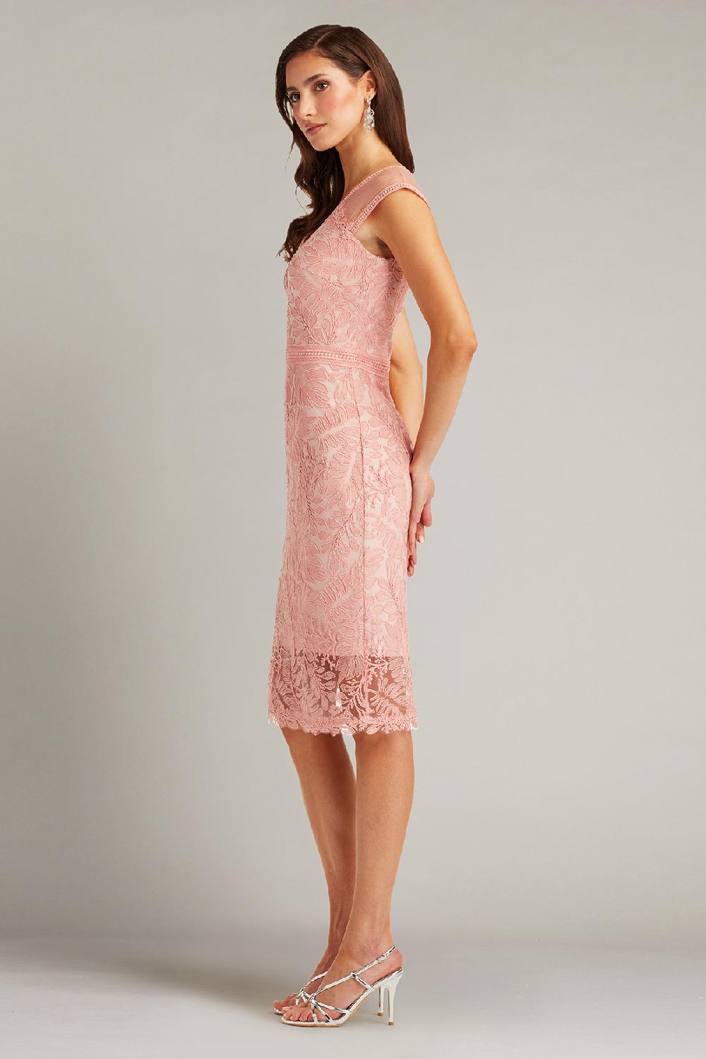 Tadashi Shoji Evonne Embroidered Dress
