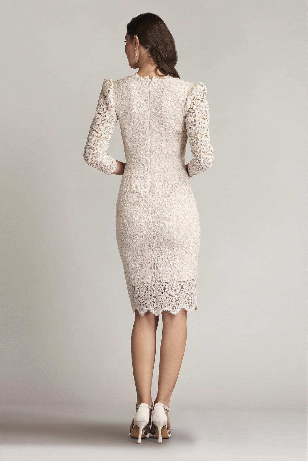 Tadashi Shoji Gowland Embroidered Tulle Dress
