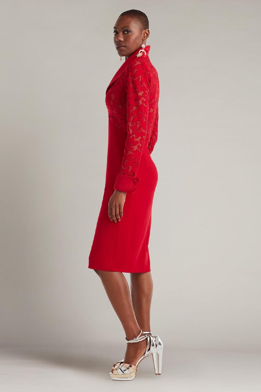 Tadashi Shoji Rovet Collar Dress