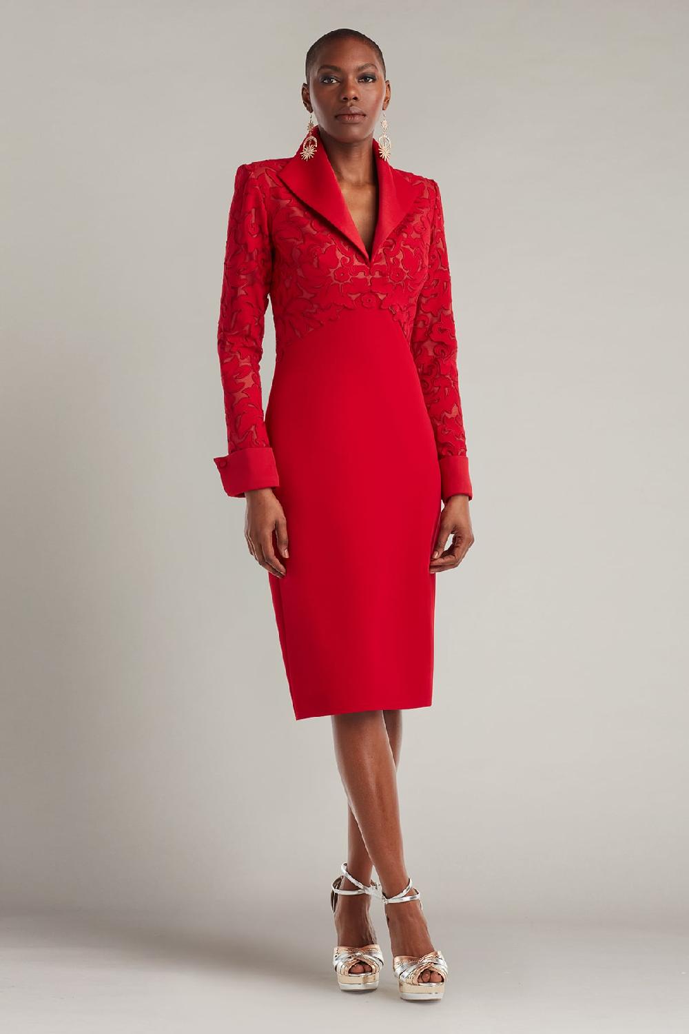 tadashi shoji Rovet Collar Dress