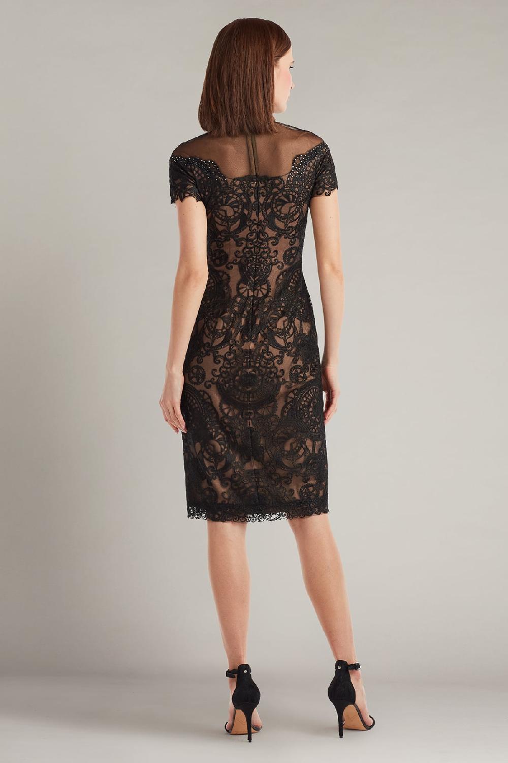 Tadashi Shoji Sable Embroidered Tulle Dress