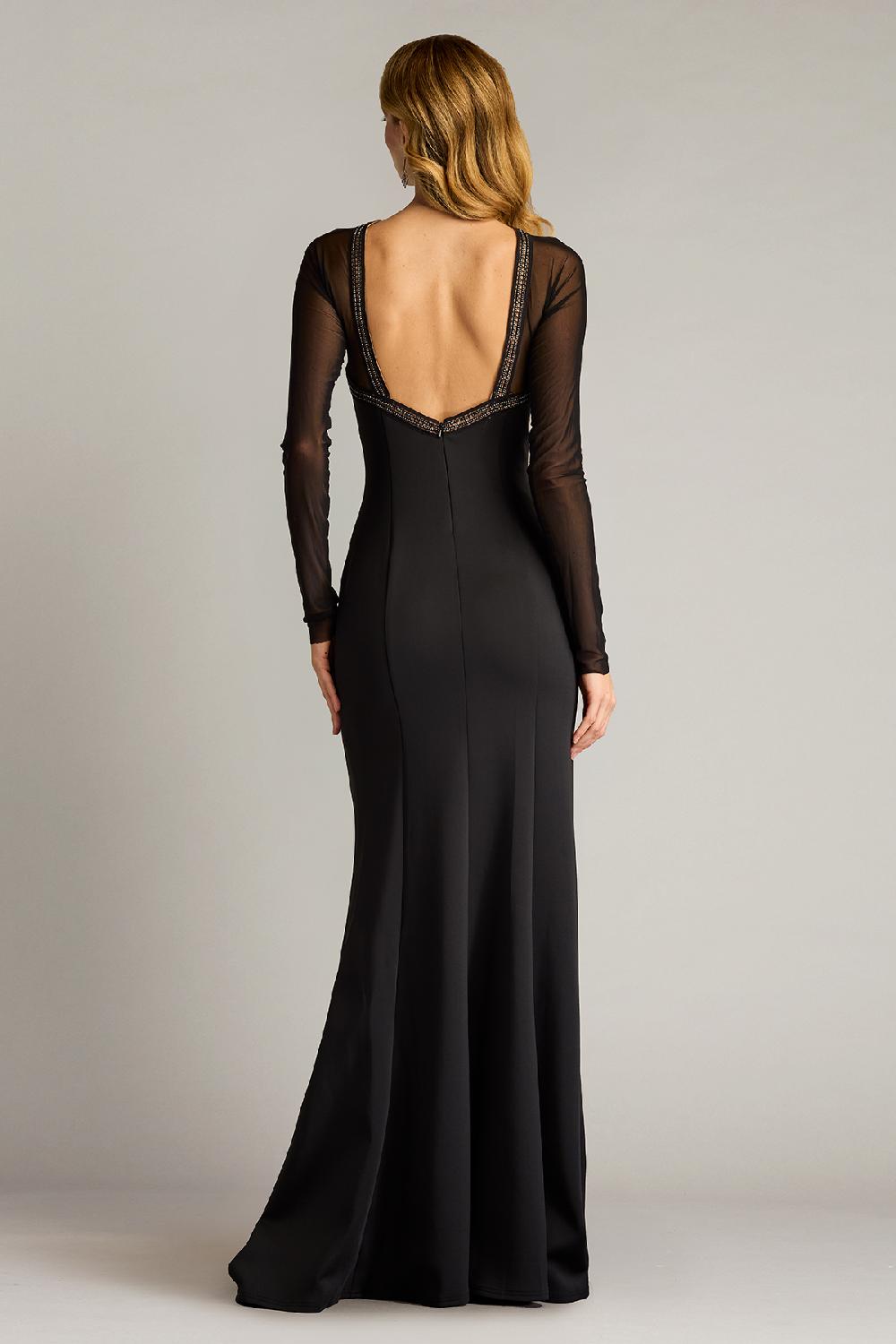 Tadashi Shoji Savoy Sheer Sleeve Gown