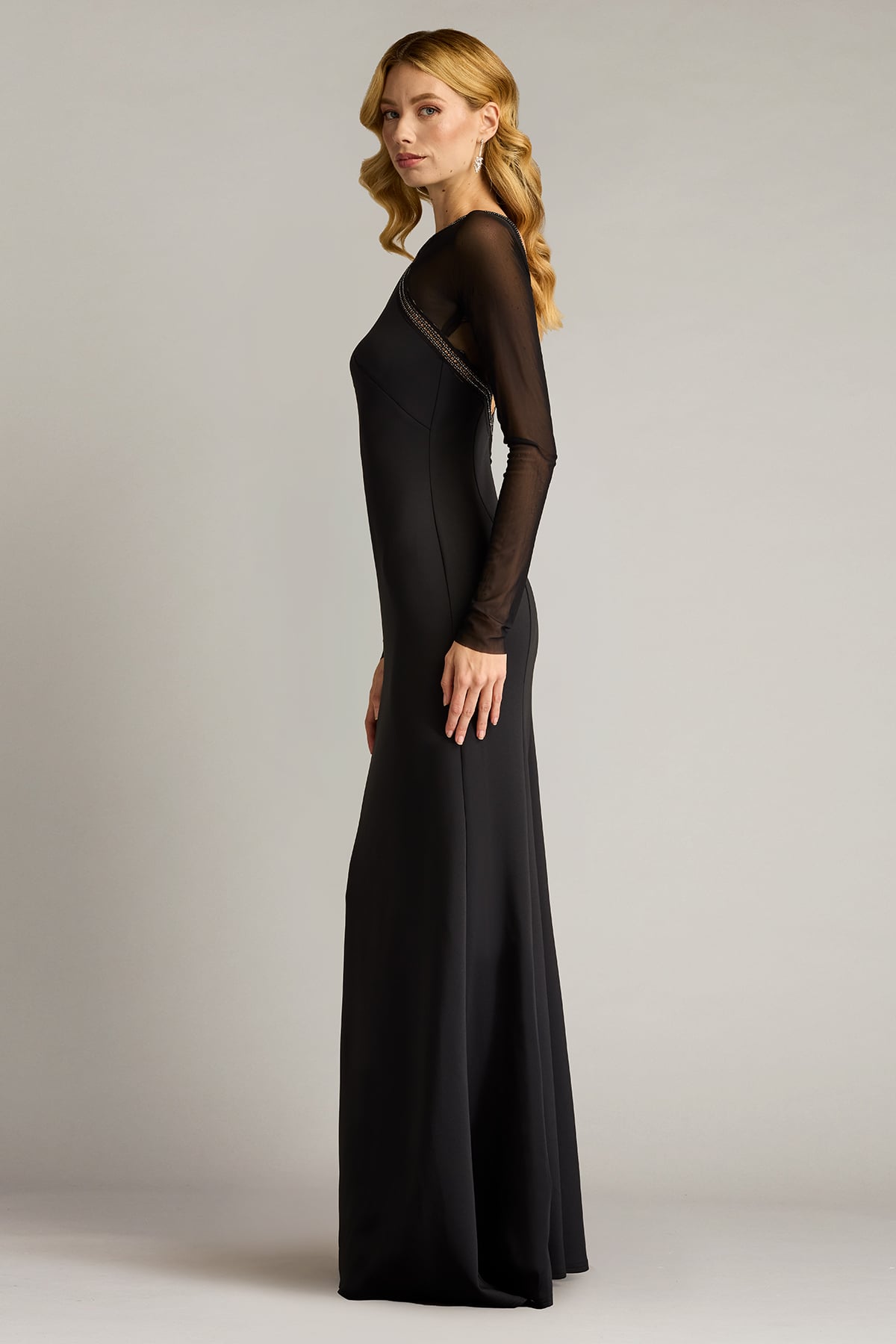 Tadashi Shoji Savoy Sheer Sleeve Gown
