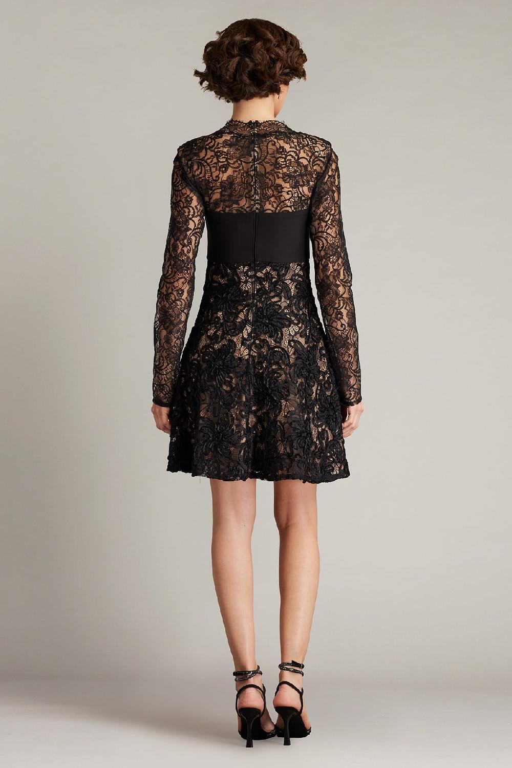 Tadashi Shoji Sayda Embroidered Lace Mini Dress