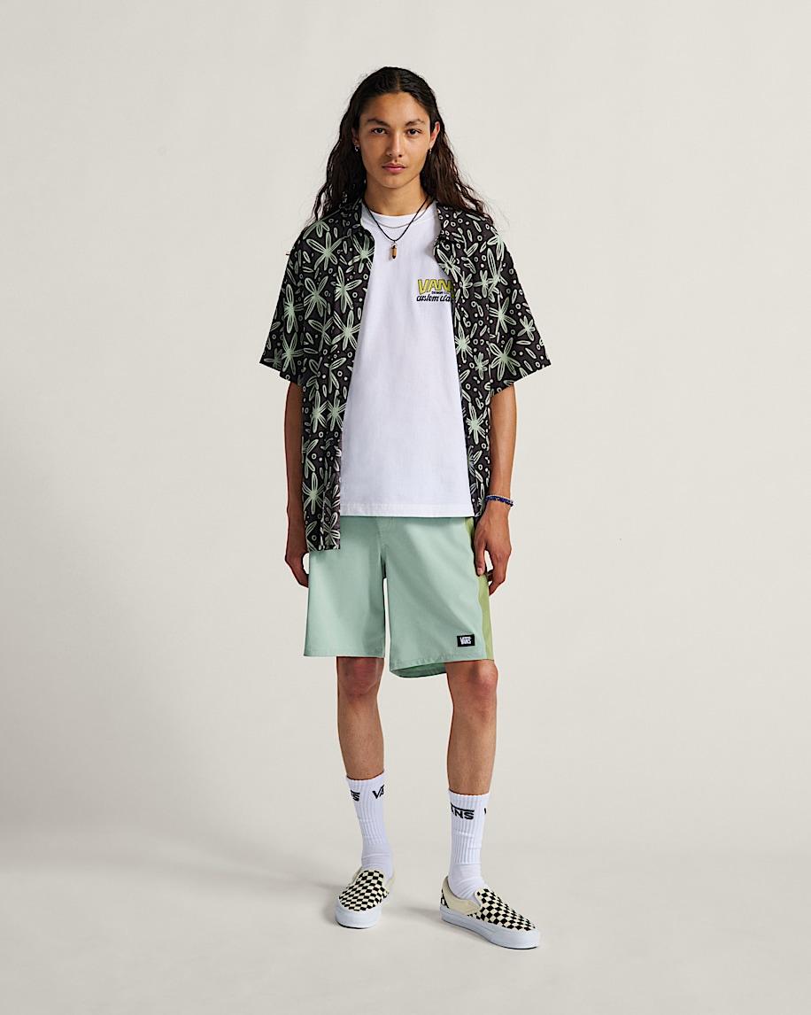 Taka Hayashi For Vault By Vans Daily 18'' Boardshorts Grey Olive Green