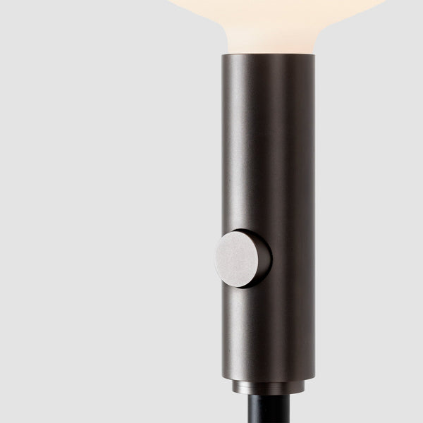 Tala Poise Adjustable Floor Lamp In Graphite + Oval II