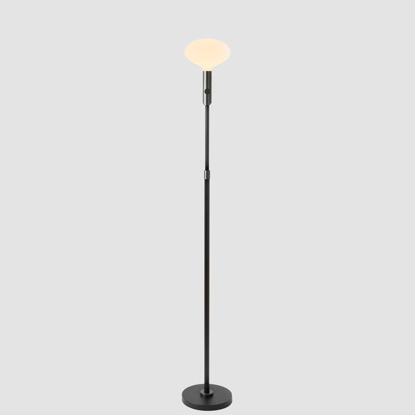 tala Poise Adjustable Floor Lamp in Graphite + Oval II