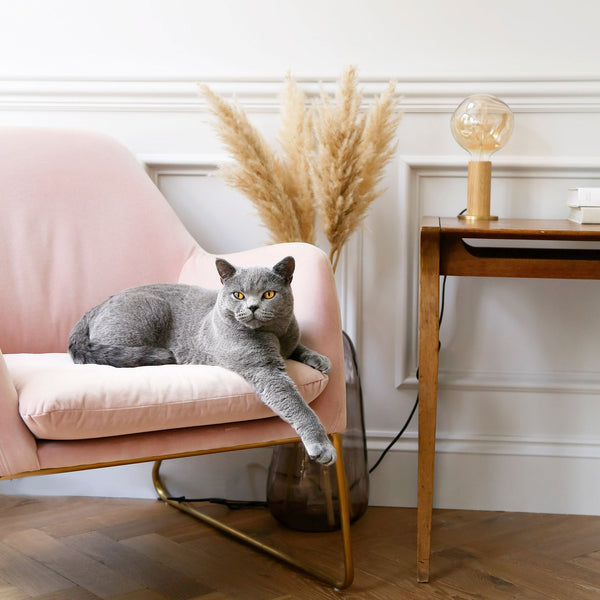 tala Knuckle Table Lamp in Oak + Voronoi I