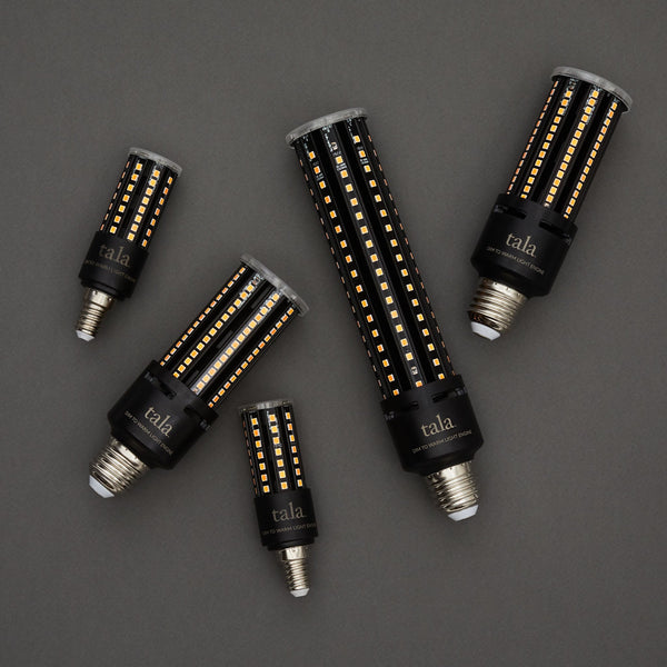 Tala Light Engine III E26 Dim-to-Warm LED Bulb