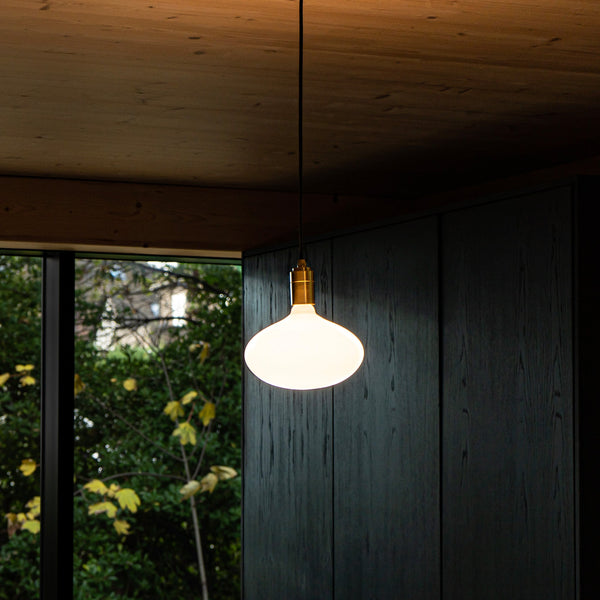 Tala Oval II Plug-In Pendant In Brass