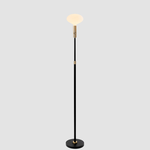 tala Poise Adjustable Floor Lamp in Brass + Oval II