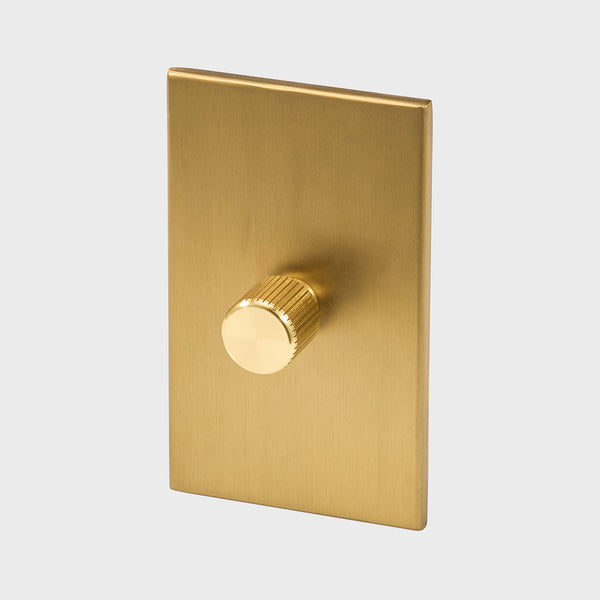 tala Single Rotary Wall Dimmer in Brass Brass