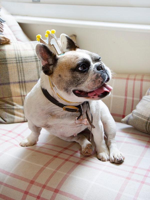 Talking Tables 1st Birthday Gold Crown