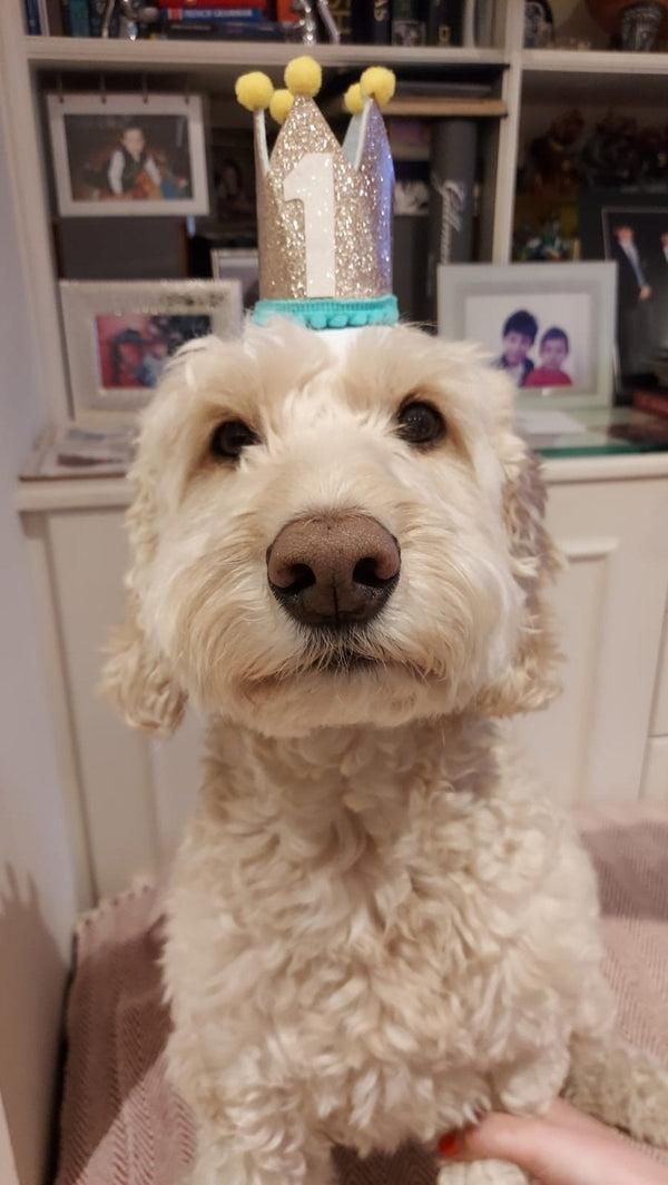 Talking Tables 1st Birthday Gold Crown