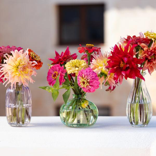 Talking Tables Clear Glass Bud Vase - 14cm