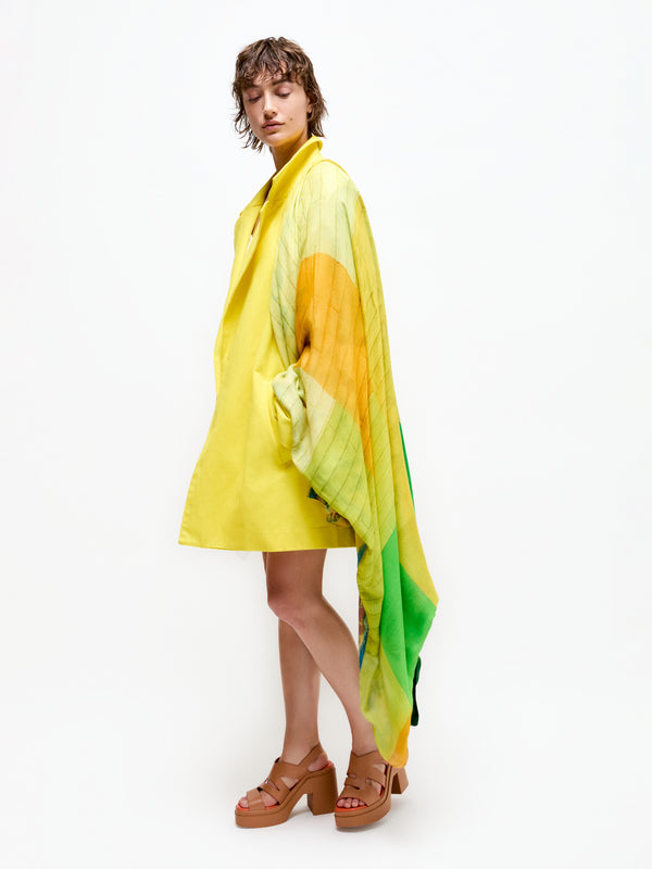 talking walls ava miamik botanik