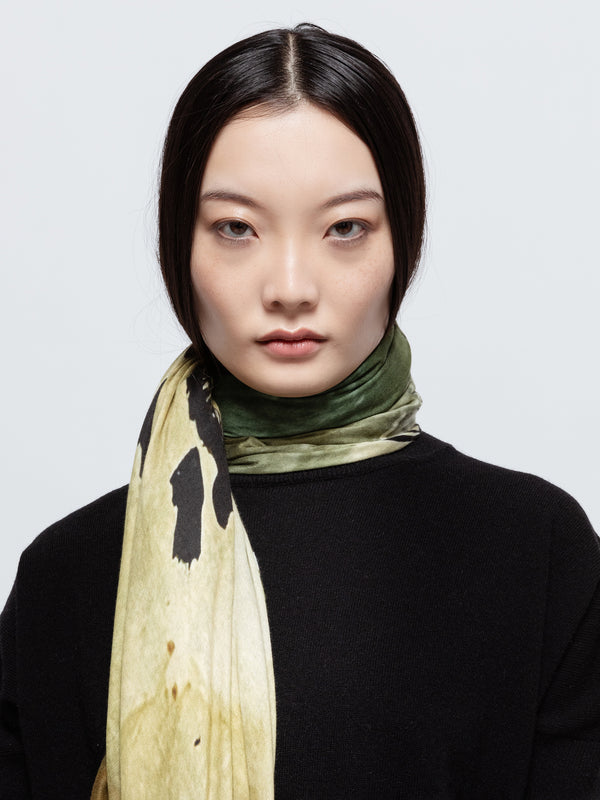 Talking Walls Ava Sun Rice