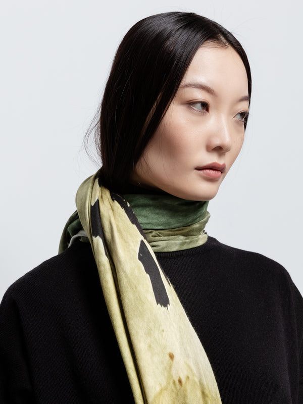 Talking Walls Ava Sun Rice