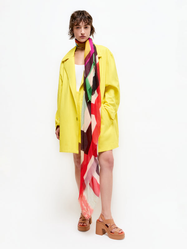 Talking Walls Ela Carousel