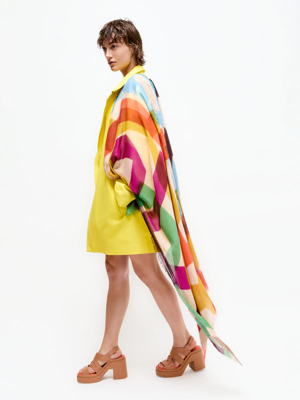 talking walls ela carousel