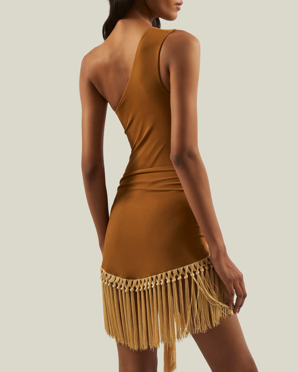 Taller Marmo Yacare Swimsuit In Amber