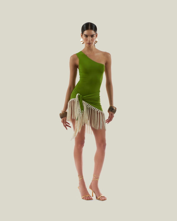 taller marmo Yacare Swimsuit in Apple